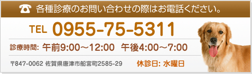 ���₢���킹/TEL�F0955-75-5311