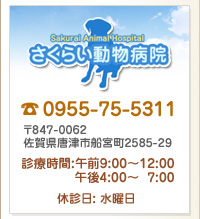 �����炢�����a�@ ��847-0062 ���ꌧ���Îs�D�{��2585-29